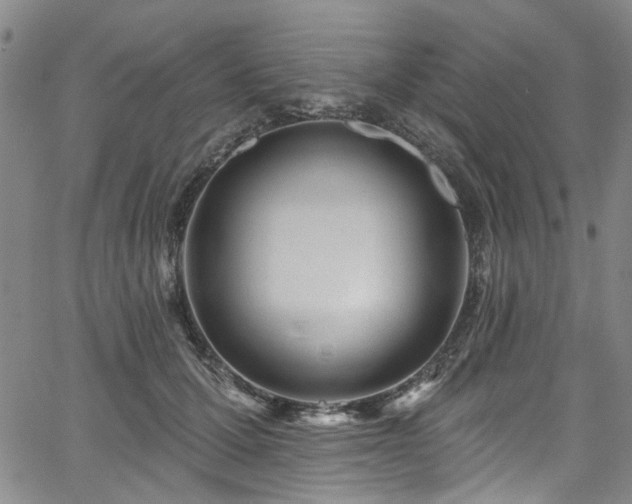 X0000067490607200604071206