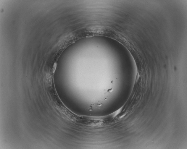 X0000067490609200604071206