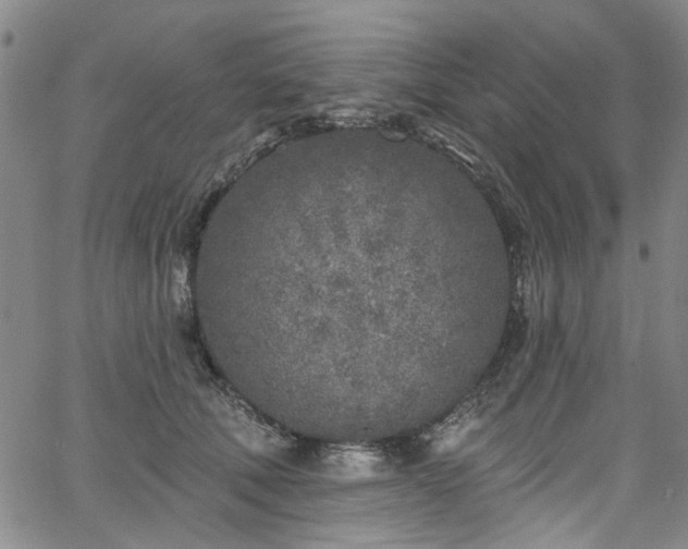 X0000067490610200604071206