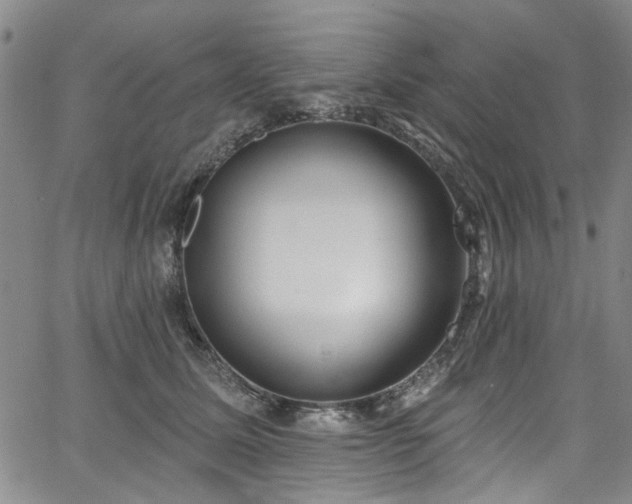 X0000067490611200604071206