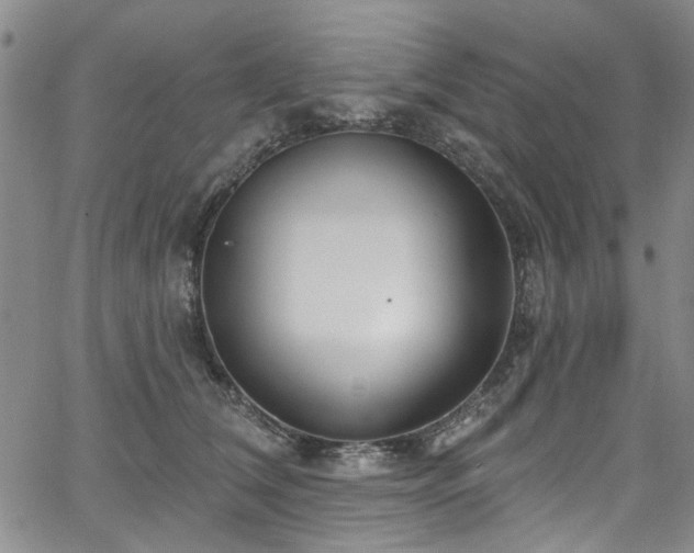 X0000067490612200604071205