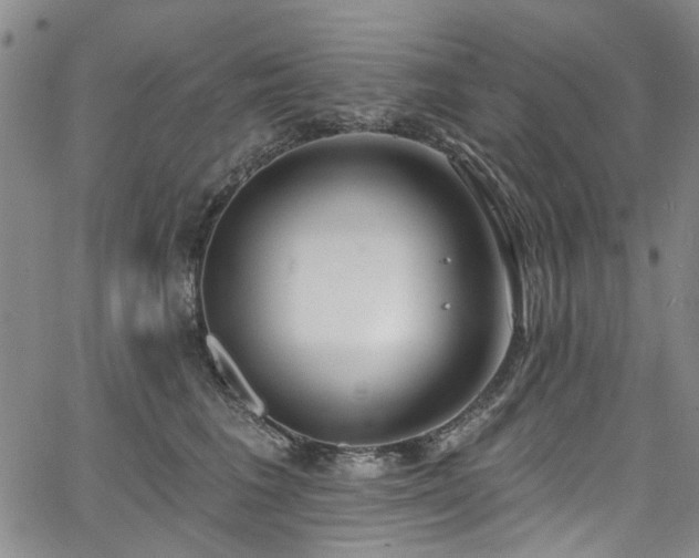 X0000067490613200604071205