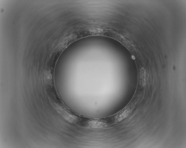 X0000067490614200604071205