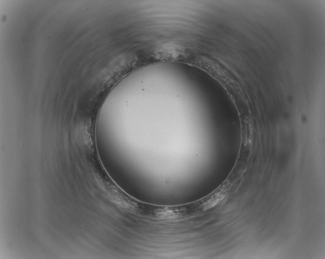 X0000067490616200604071205