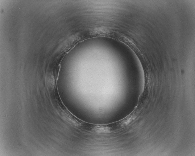 X0000067490617200604071205