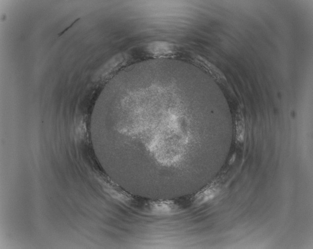 X0000067490618200604071205