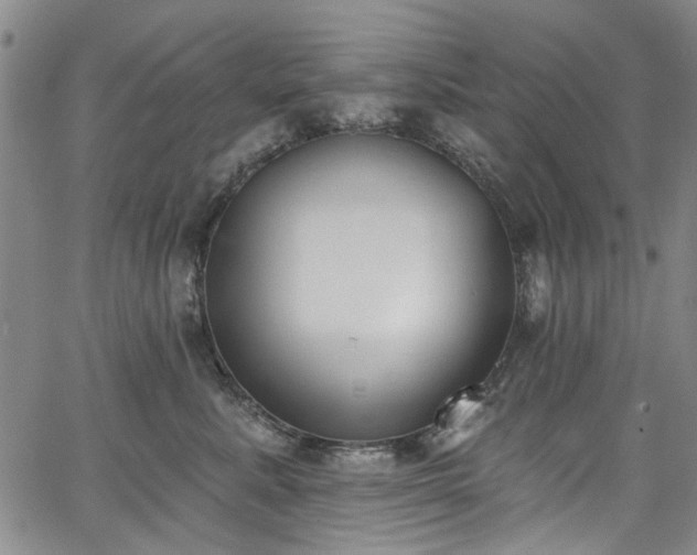 X0000067490619200604071205