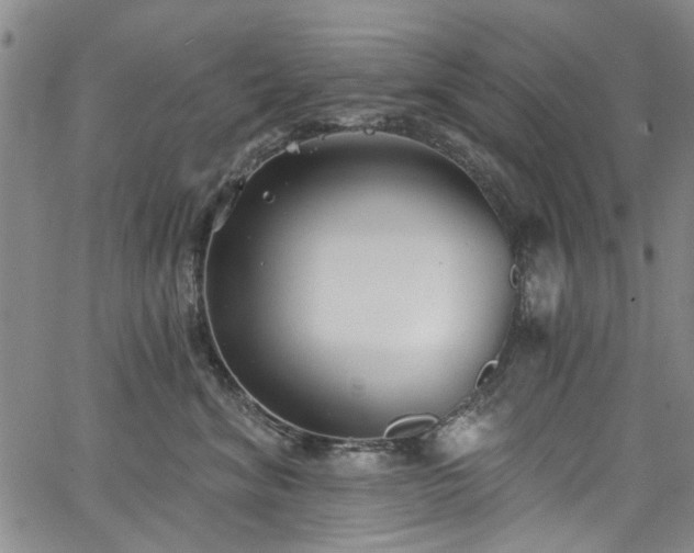 X0000067490620200604071205