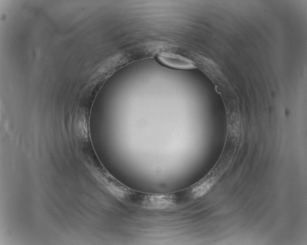 X0000067490622200604071205