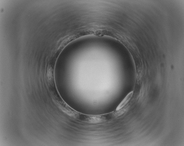 X0000067490623200604071205