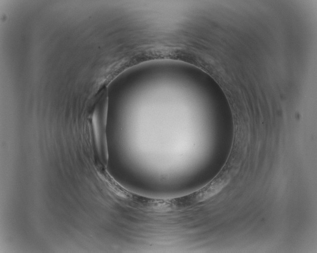 X0000067490624200604071205