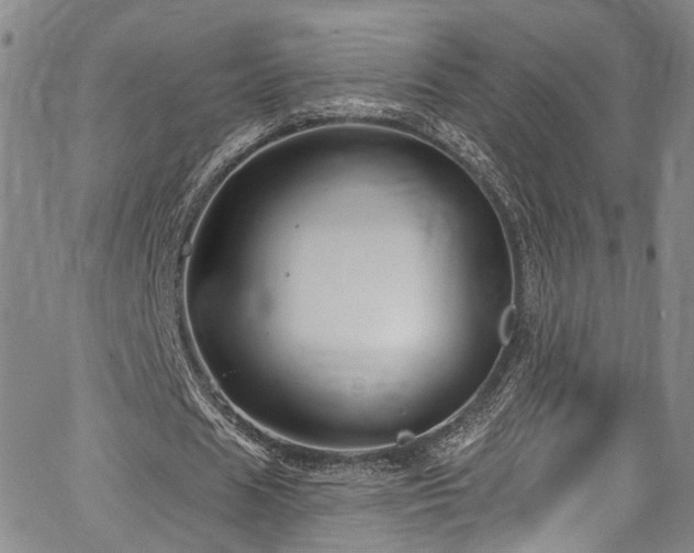 X0000067490625200604071205