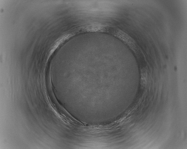 X0000067490626200604071205