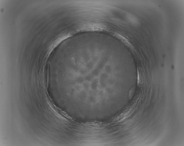 X0000067490627200604071205