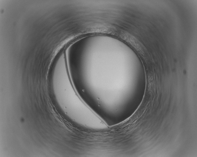 X0000067490628200604071205