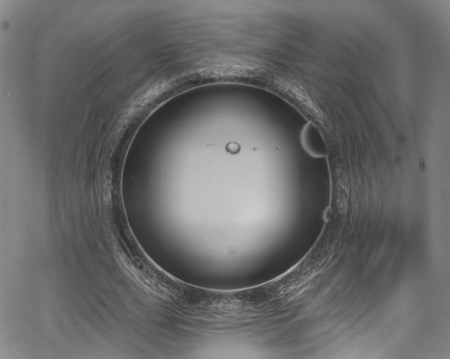 X0000067490631200604071205