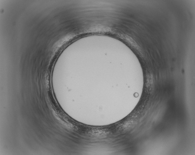 X0000067490632200604071205