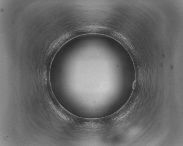 X0000067490633200604071205