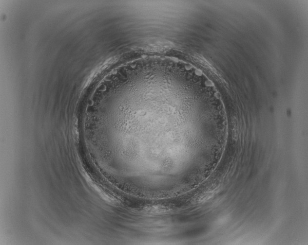 X0000067490634200604071205