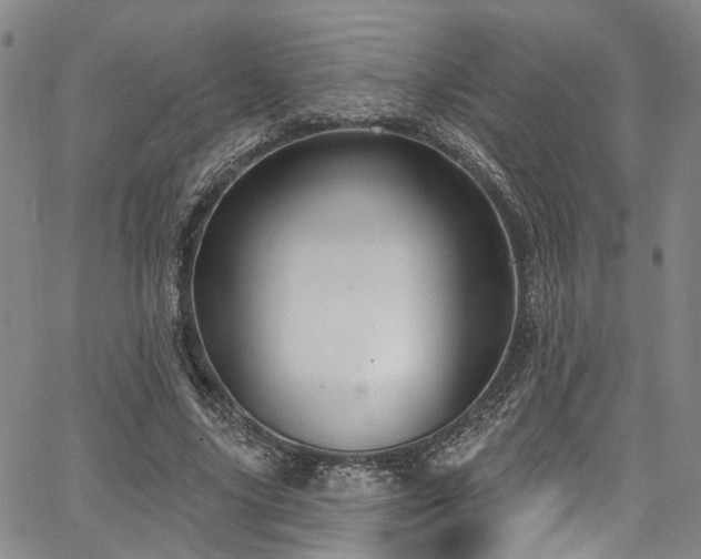 X0000067490635200604071205