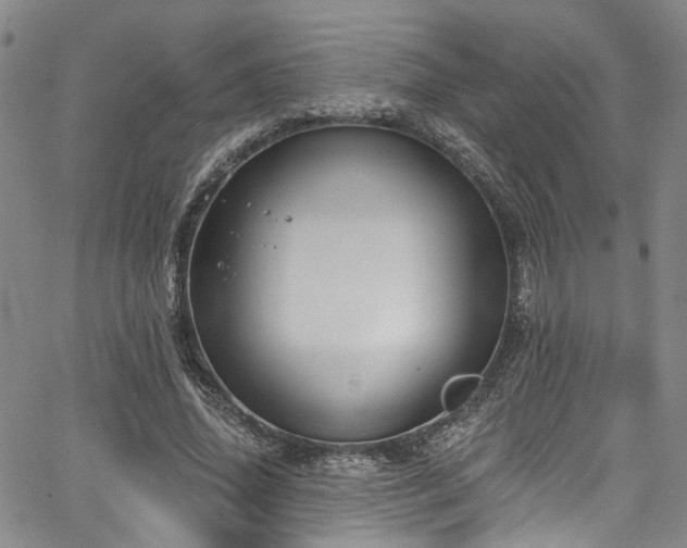 X0000067490636200604071205