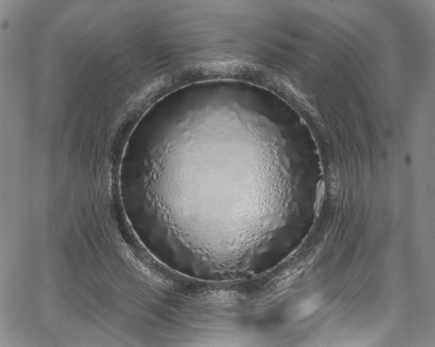 X0000067490637200604071205