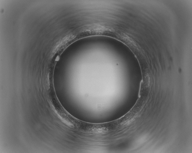 X0000067490638200604071205