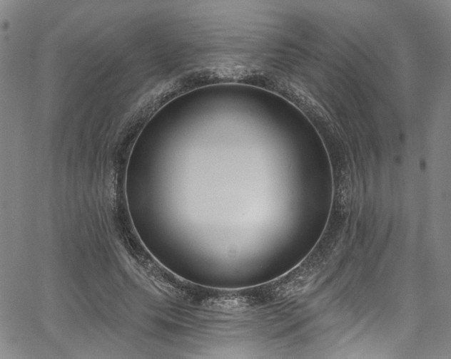 X0000067490639200604071205