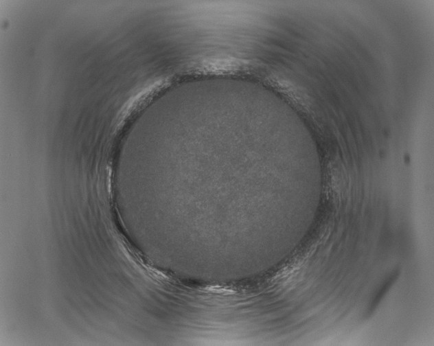 X0000067490640200604071205