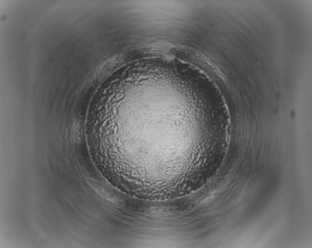 X0000067490641200604071205