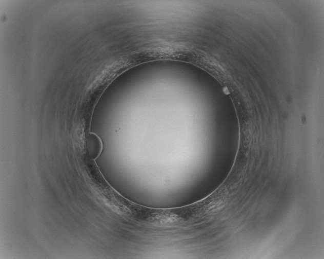 X0000067490642200604071205