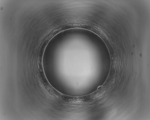 X0000067490643200604071205