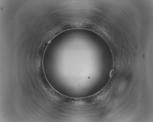 X0000067490645200604071205