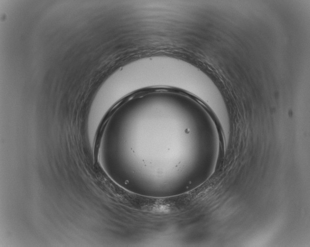 X0000067490647200604071205