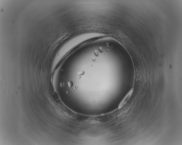 X0000067490648200604071205