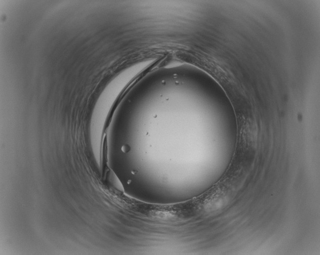 X0000067490649200604071205