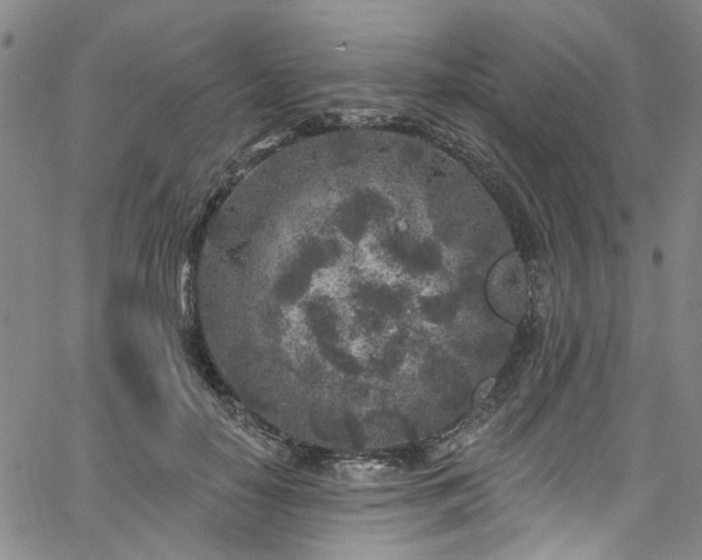 X0000067490650200604071205