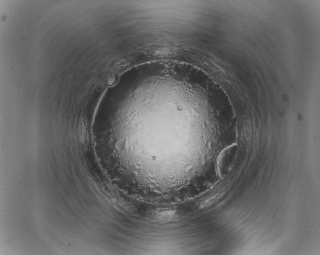 X0000067490651200604071205