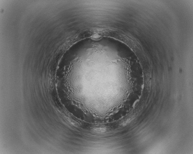 X0000067490653200604071205