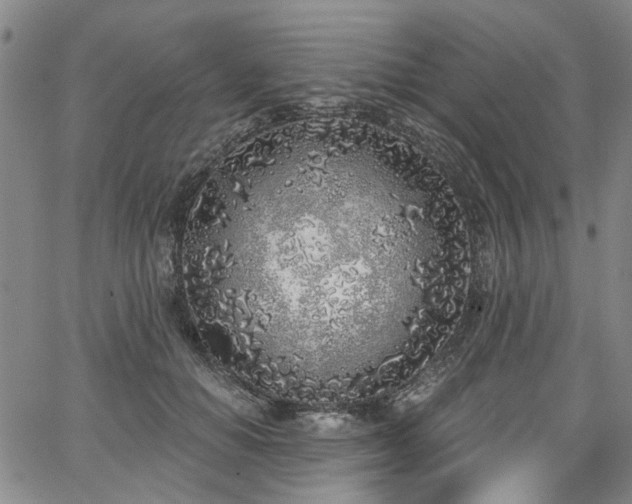 X0000067490654200604071205