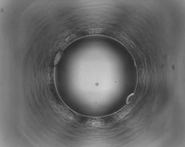 X0000067490655200604071205