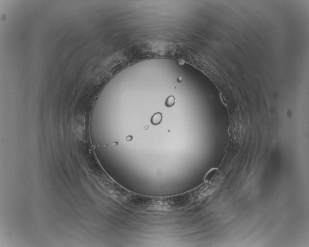 X0000067490656200604071205