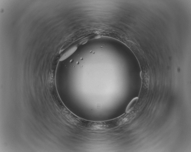 X0000067490657200604071205