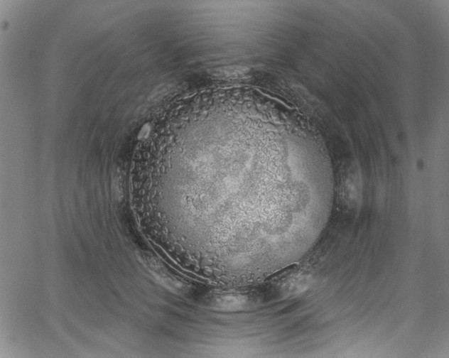 X0000067490658200604071205