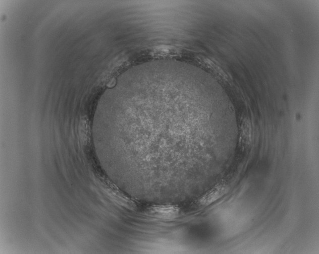 X0000067490659200604071205