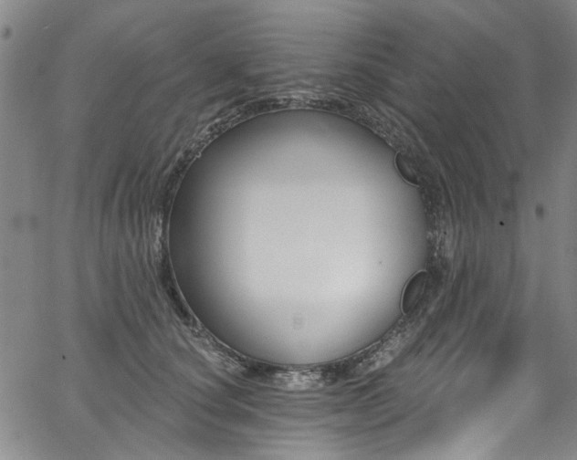 X0000067490660200604071205