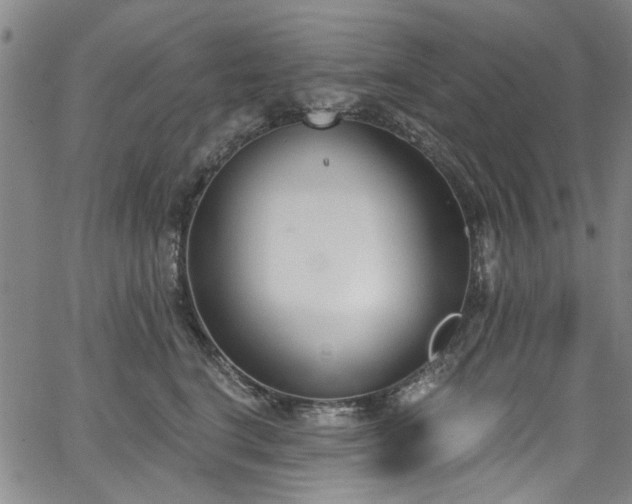 X0000067490664200604071205