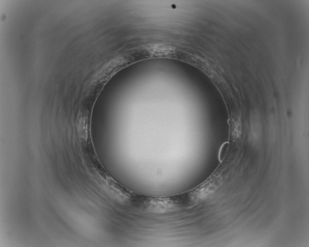 X0000067490666200604071205