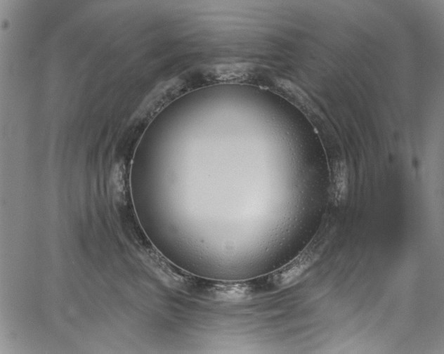 X0000067490667200604071205