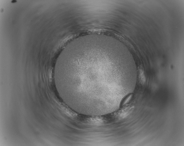 X0000067490668200604071205